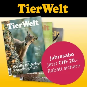 Jahresabo «TierWelt»